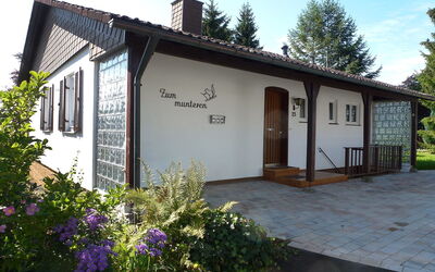 Zum Munteren Eichhörnchen