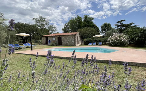 Funghi 1: Wolke, Pflanze, Himmel, Wasser, Blume, Schwimmbad, Baum, Gras, Natürliche Landschaft, Freizeit