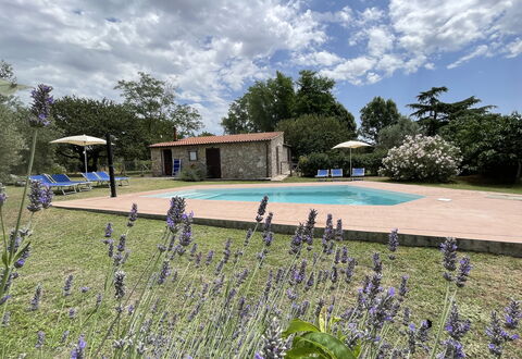 Funghi 1: Wolke, Pflanze, Himmel, Wasser, Blume, Schwimmbad, Baum, Gras, Natürliche Landschaft, Freizeit