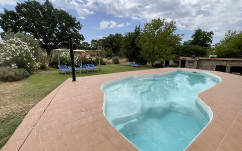 Funghi 2: Wolke, Himmel, Wasser, Pflanze, Schwimmbad, Baum, Schatten, Freizeit, Verbundwerkstoff, Grundeigentum