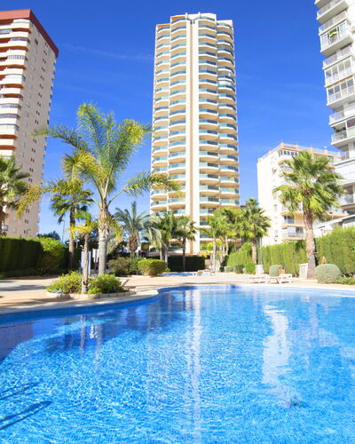 Calpe Calp 315