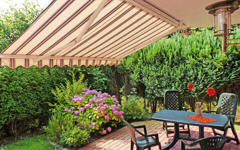 Norddeich 764: Hinterhof, Eigentum, Garten, Garten, Terrasse, Grundeigentum, Pergola, Baum, Pflanze, Landscaping