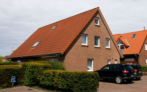 Storchennest: Rad, Pflanze, Auto, Gebäude, Himmel, Fenster, Fahrzeug, Haus