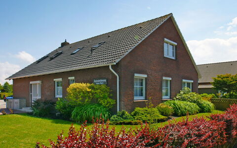 Norddeich 781: Pflanze, Himmel, Blume, Wolke, Fenster, Gebäude, Haus, Baum, Grundstueck, Vegetation
