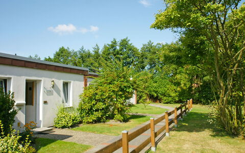 Windrad: Pflanze, Himmel, Wolke, Gebäude, Fenster, Natur, Baum, Grundstueck, Haus, Natürliche Landschaft