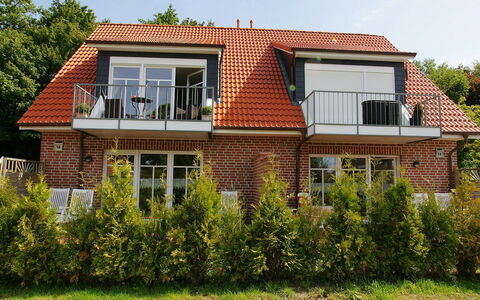 Norddeich 803: Pflanze, Himmel, Gebäude, Fenster, Baum, Holz, Haus, Vegetation, Grundstueck, Hütte