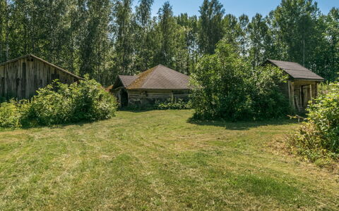Rauhalinna: Hütte, Haus, Zuhause, Gartenbauten, Abstellgleis, Blockhaus, Bauernhaus, Estate, Schuppen, Garten