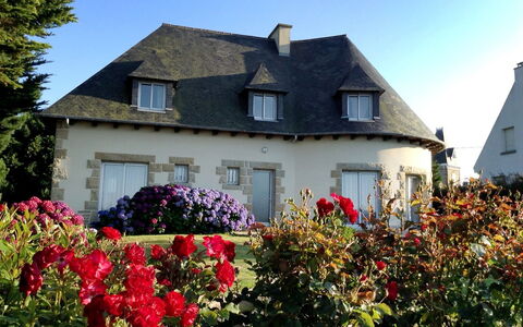 Les Rimains: Blume, Pflanze, Gebäude, Fenster, Himmel, Eigentum, Haus, Vegetation, Gras, Baum