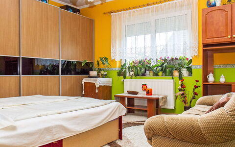 Colore: Pflanze, Eigentum, Cabinetry, Möbel, Gebäude, Fenster, Zimmerpflanze, Komfort, Interior Design, Dekoration