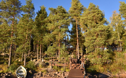Villa Miestamo: Baum, Gewässer, Natürlichen Umgebung, Natur, Holz, Natürliche Landschaft, Bank, See, Wald