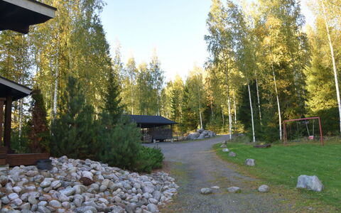 Villa Miestamo: Wald, Garten, Schatten, Hain, Wald, Landscaping, Lärche
