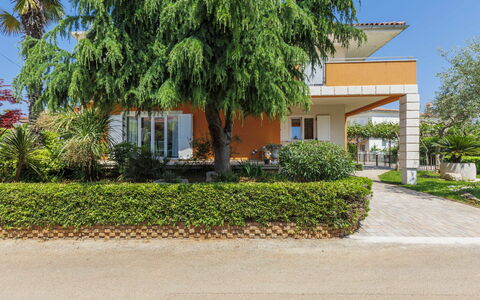 Umag 119: Pflanze, Gebäude, Blatt, Himmel, Baum, Grundstueck, Haus, Gras, Fenster, Arecales