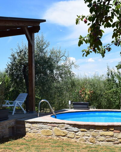 Selva Degli Ulivi