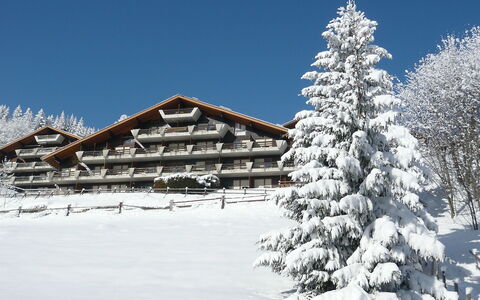 Sainte-Croix 140: Himmel, Gebäude, Pflanze, Schnee, Fenster, Steigung, Haus, Lärche, Ast, Natürliche Landschaft