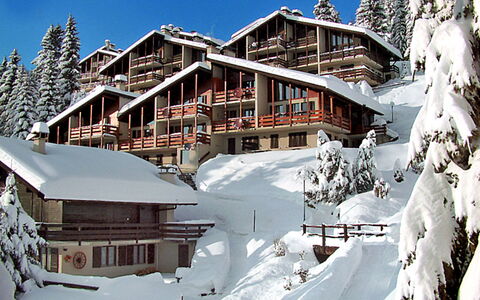 Alpe des Chaux 500: Gebäude, Schnee, Daytime, Himmel, Eigentum, Fenster, Haus, Baum, Welt, Steigung