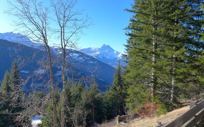 Alpe des Chaux 500