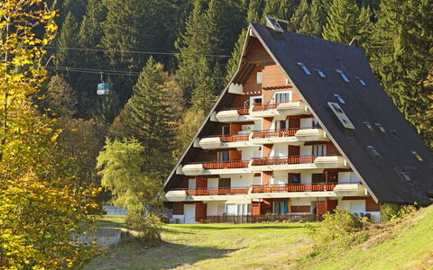 Anémone 2 16: Pflanze, Gebäude, Fenster, Natürliche Landschaft, Baum, Steigung, Haus, Biome, Gehölz, Landschaft