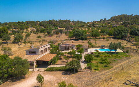 Cas Ciutada: Baum, Estate, Zuhause, Ländliches Gebiet, Bauernhaus, Hazienda, Villa, Schatten, Eco Hotel, Garten