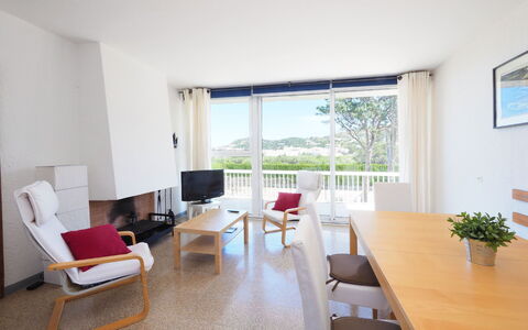 Agus: Tabelle, Möbel, Pflanze, Gebäude, Fenster, Zimmerpflanze, Stuhl, Blumentopf, Holz, Fussboden