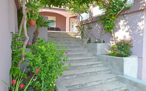 Novigrad (Zadar) 112: Pflanze, Gebäude, Eigentum, Blume, Treppe, Blatt, Haus, Fenster, Strassenbelag, Vegetation