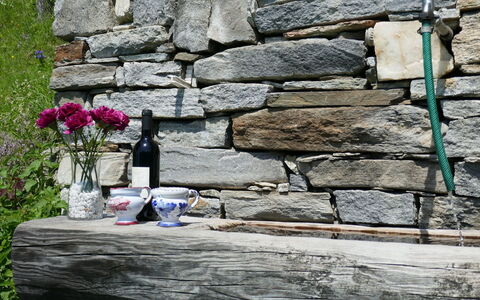 Rustico Pamela: Blume, Pflanze, Flasche, Holz, Strassenbelag, Bedrock, Backstein, Landschaft, Gras, Mauerwerk
