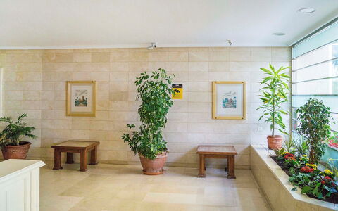 Puerto Paraíso: Eigentum, Interior Design, Zimmer, Gebäude, Decke, Wand, Zimmerpflanze, Fussboden, Haus, Die Architektur