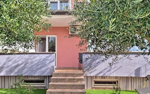 Finida: Zuhause, Garten, Balkon, Veranda, Geländer, Hinterhof, Treppe, Garten, Schatten, Landscaping