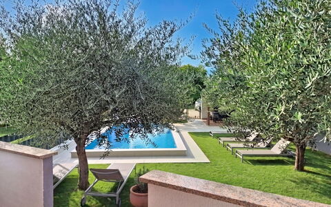 Finida: Garten, Schatten, Schwimmbad, Hinterhof, Garten, Landscaping, Hof, Hazienda, Villa, Eco Hotel