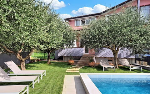 Finida: Schwimmbad, Zuhause, Wohngebiet, Haus, Garten, Estate, Hinterhof, Rasen, Garten, Landscaping