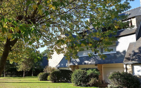 Les Pins: Pflanze, Gebäude, Baum, Himmel, Blatt, Natur, Schatten, Fenster, Vegetation, Sonnenlicht