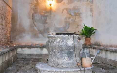 Pula Vodnjan 103: Pflanze, Blumentopf, Licht, Beleuchtung, Zimmerpflanze, Interior Design, Gebäude, Morgen, Holz, Hitze