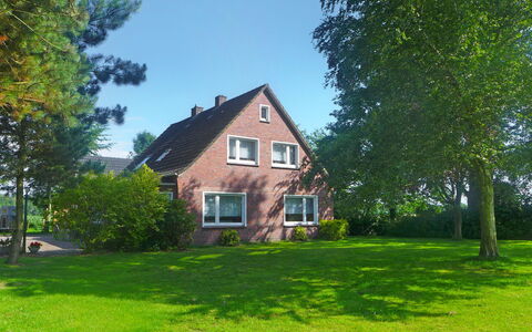Hage 180: Pflanze, Himmel, Gebäude, Fenster, Baum, Natürliche Landschaft, Grundstueck, Haus, Gras, Hütte