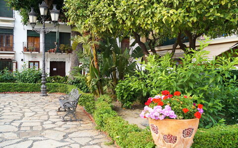Plaza de Las Flores: Pflanze, Blume, Blumentopf, Botanik, Gebäude, Baum, Gras, Fenster, Strauch, Zimmerpflanze
