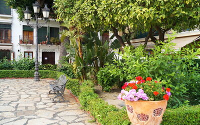 Plaza de Las Flores