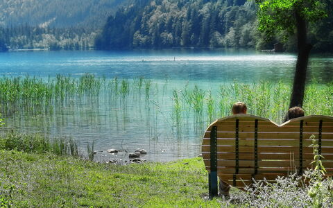 Eisenerz 100: Wasser, Pflanze, Natürliche Landschaft, Baum, See, Berg, Vegetation, Gras, Holz, Wasserlauf