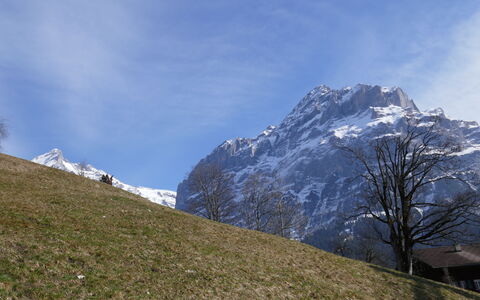 Chalet Albi: Wasser, Himmel, Pflanze, Gebäude, Wolke, Eigentum, Schwimmbad, Azurblau, Baum, Schatten
