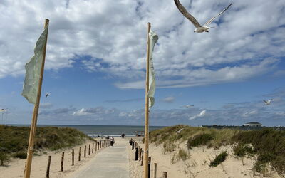 Noordwijk 450