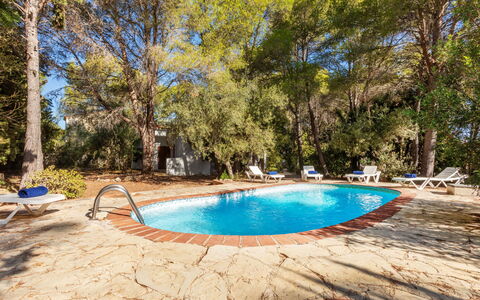 Villa Pinos: Blau, Baum, Holz, Schwimmbad, Schatten, Gartenmöbel, Resort, Landscaping, Eco Hotel, Hinterhof