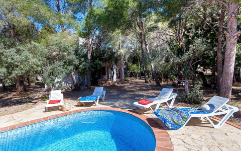 Villa Pinos: Wasser, Pflanze, Eigentum, Möbel, Schwimmbad, Azurblau, Blau, Baum, Schatten, Stuhl