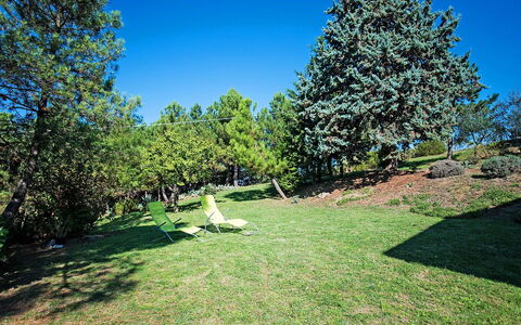 Tribolina: Baum, Eigentum, Himmel, Daytime, Natürliche Landschaft, Gras, Grundstueck, Rasen, Garten, Grundeigentum