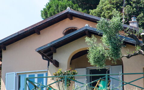 Villa Sara: Pflanze, Gebäude, Eigentum, Himmel, Baum, Fenster, Die Architektur, Haus, Holz