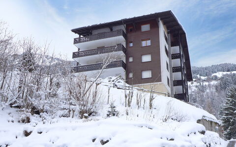 Champbois: Himmel, Gebäude, Wolke, Schnee, Pflanze, Baum, Fenster, Haus, Wohngebiet, Urban Design