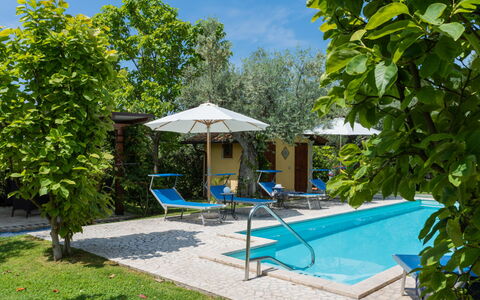 Olive Grove Sabina: Pflanze, Azurblau, Wasser, Botanik, Schatten, Gartenmöbel, Baum, Himmel, Schwimmbad, Freizeit