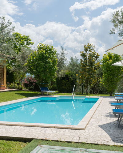 Olive Grove Sabina