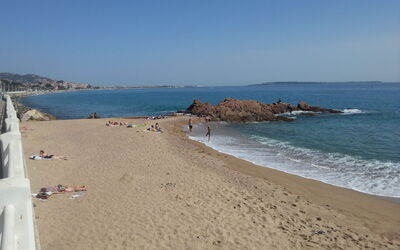 Les Arums, Cannes La Bocca
