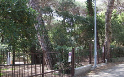 Appartamento - le Finestre - Marina di Castagneto Carducci, Toskana, Italien