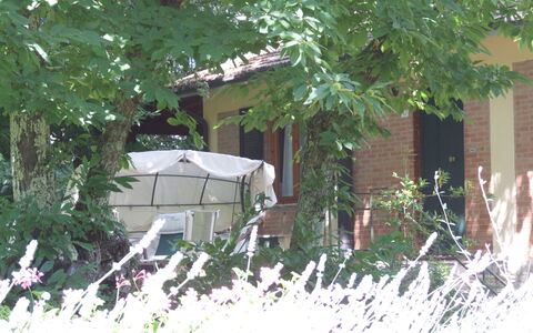 Villa La Quercia: Haus, Eigentum, Zuhause, Baum, Hütte, Grundeigentum, Nachbarschaft, Garten, Ast, Pflanze