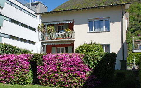Altorfer: Blume, Pflanze, Himmel, Gebäude, Eigentum, Fenster, Haus, Gras, Grundeigentum, Ground