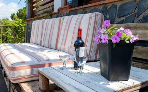 Ginesteres: Blume, Pflanze, Eigentum, Möbel, Tabelle, Textil, Gartenmöbel, Holz, Interior Design, Blumentopf