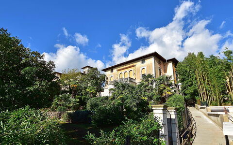 Opatija 134: Wolke, Himmel, Gebäude, Pflanze, Fenster, Vegetation, Haus, Baum, Natürliche Landschaft, Nachbarschaft